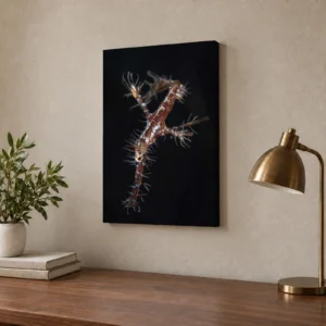 Medium ornate ghost pipefish canvas print on a home office wall above a walnut desk