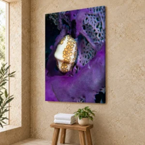 Large flamingo tongue snail canvas print on a limestone wall above a teak stool