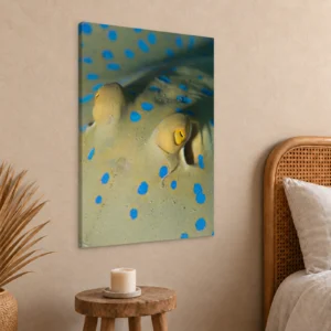 Large bluespotted ribbontail ray canvas print on a guest room wall above a wooden stool
