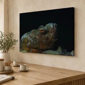 Medium false stonefish canvas print on a café wall above a wooden counter