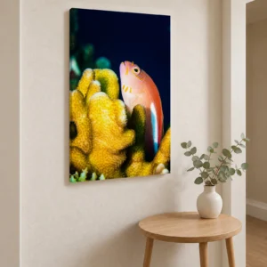 Large arc-eye hawkfish canvas print on a hallway wall above a round oak side table