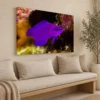 Medium orchid dottyback canvas print on a boutique hotel lounge wall above a long oak bench