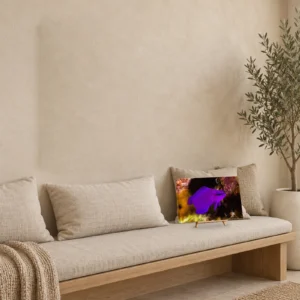 Small orchid dottyback canvas print on a long oak bench, leaning against the wall