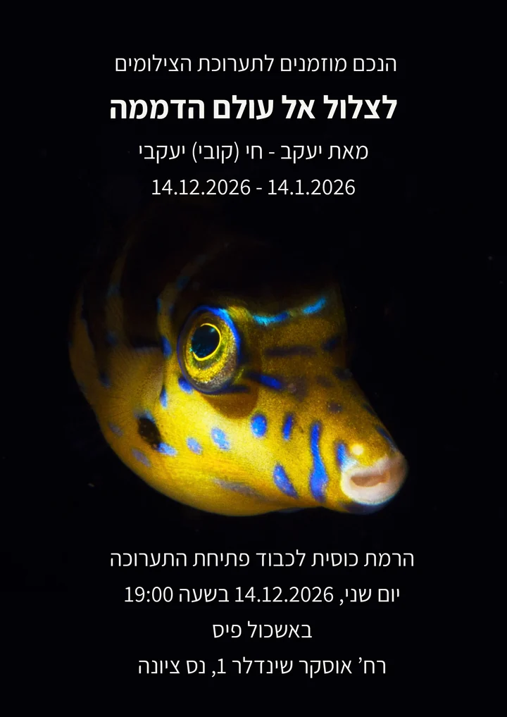 ההזמנה לפתיחת התערוכה לצלול אל עולם הדממה: פנינון האוכפים, דג צהוב עם כתמים כחולים על רקע שחור, ופרטי הפתיחה ביום שני 14.12.2026 בשעה 19:00 באשכול פיס נס ציונה