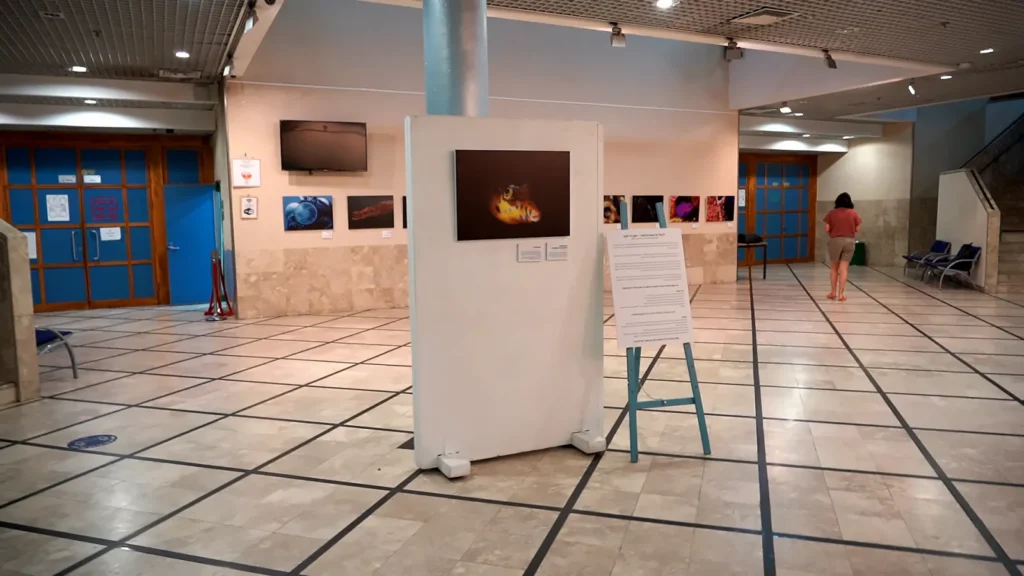 הכניסה לתערוכת צילום תת ימי: פאנל לבן ועליו צילום, כן ועליו טקסט הפתיחה, ושורת צילומים על הקיר שמאחור