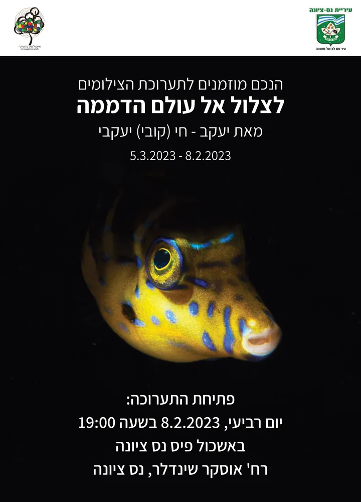 ההזמנה לתערוכת הצילומים לצלול אל עולם הדממה, עם צילום של דג צהוב עם כתמים כחולים ופרטי הפתיחה ב-8 בפברואר 2023 באשכול פיס נס ציונה