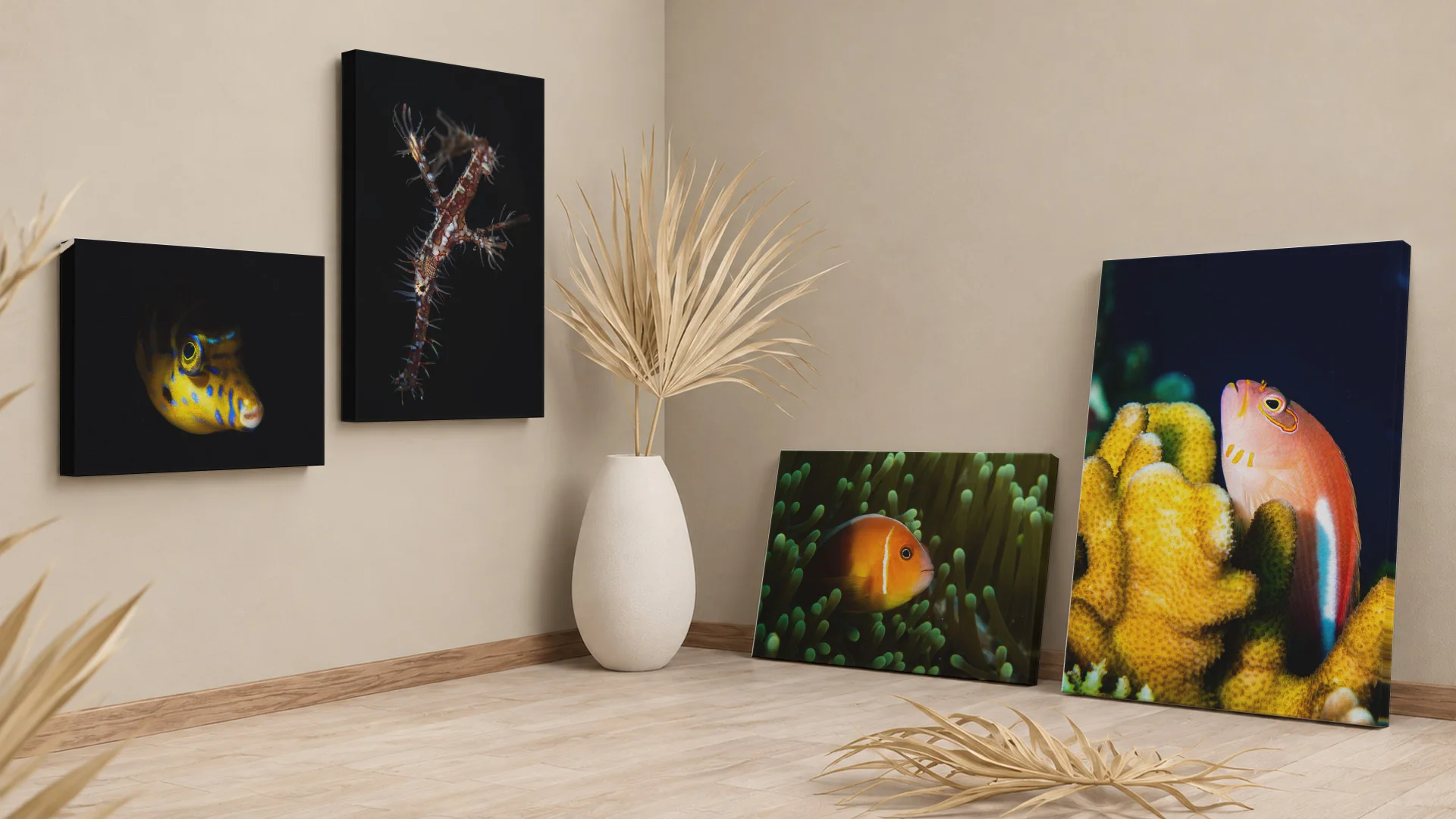 Saddled Puffer, Ornate Ghost Pipefish, Pink Anemonefish, and Arc-eye Hawkfish canvases in a room corner.