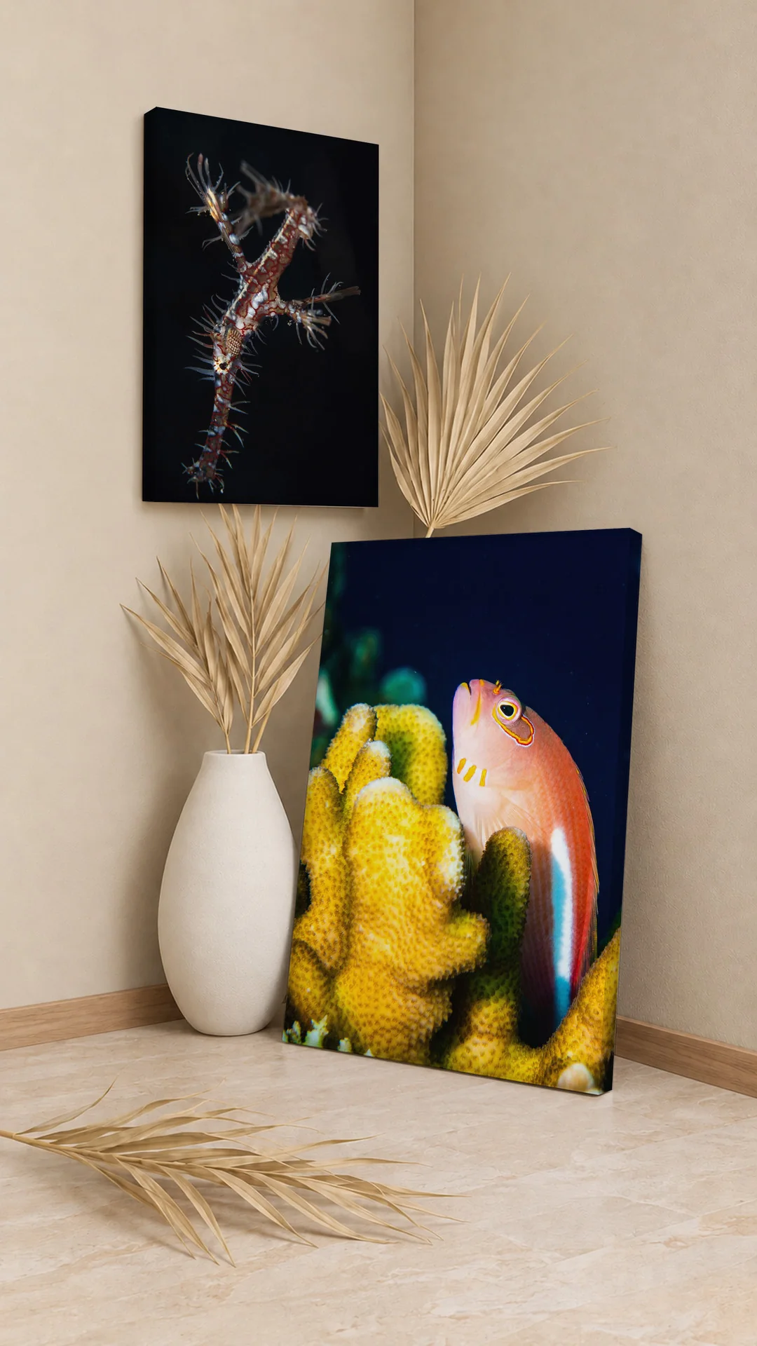 Ornate Ghost Pipefish and Arc-eye Hawkfish canvases in a room corner.