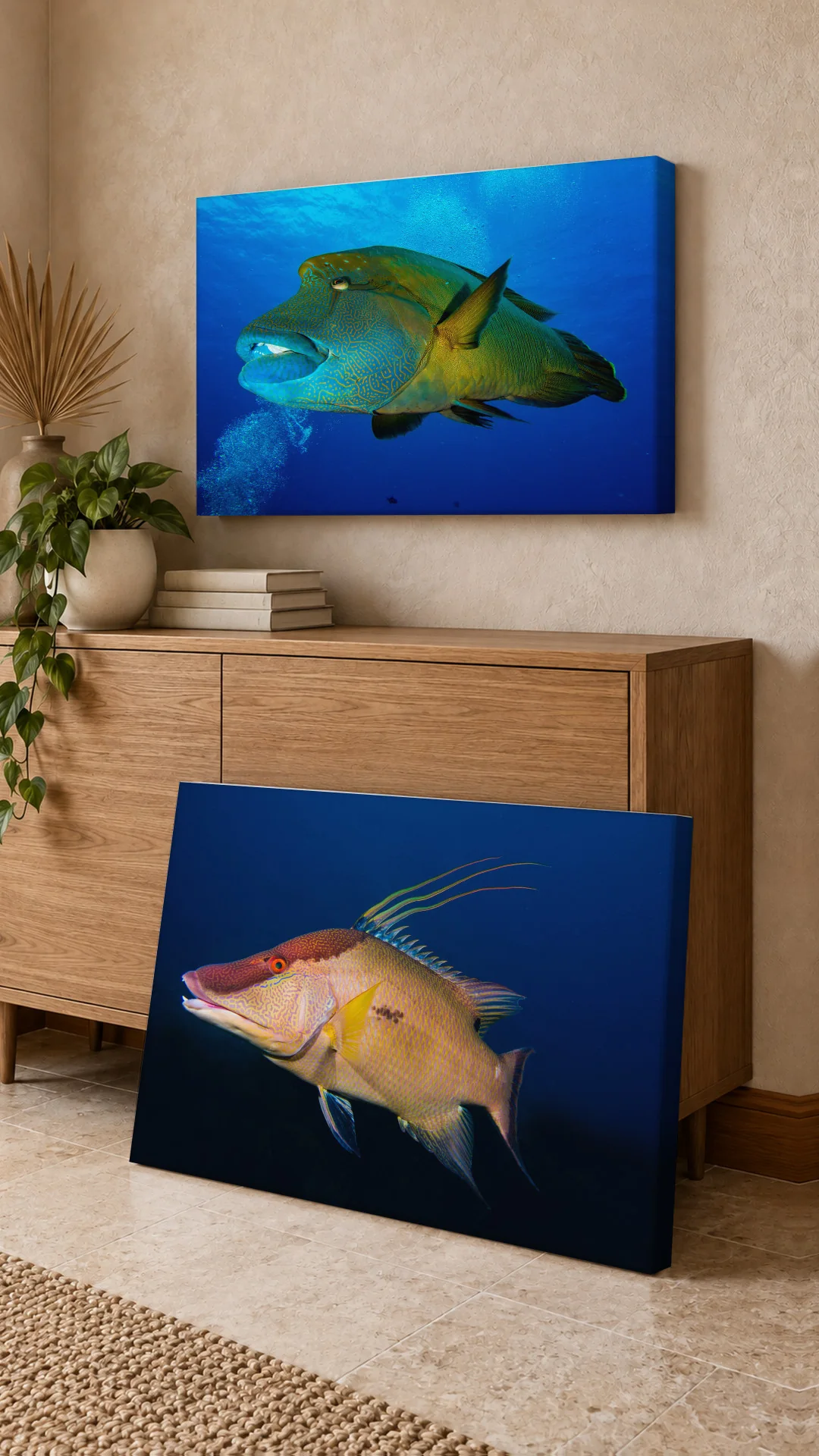 Humphead (Napoleon) Wrasse and Hogfish canvases in a styled office.