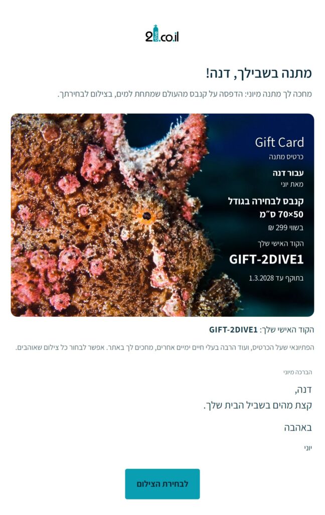 דוגמה למייל של כרטיס מתנה מ־2Dive: צילום פתיונאי, קוד אישי וברכה