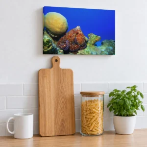 Small octopus reef canvas, 12 × 8 in (30 × 20 cm), above a kitchen counter with a cutting board, mug, and pasta jar