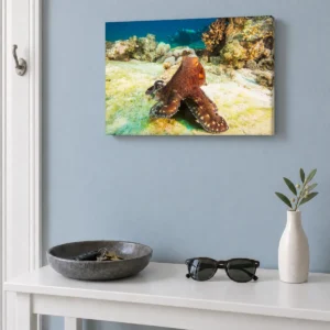 Small octopus and diver canvas, 12 × 8 in (30 × 20 cm), in an entryway above a white console with a key bowl, sunglasses, and a vase